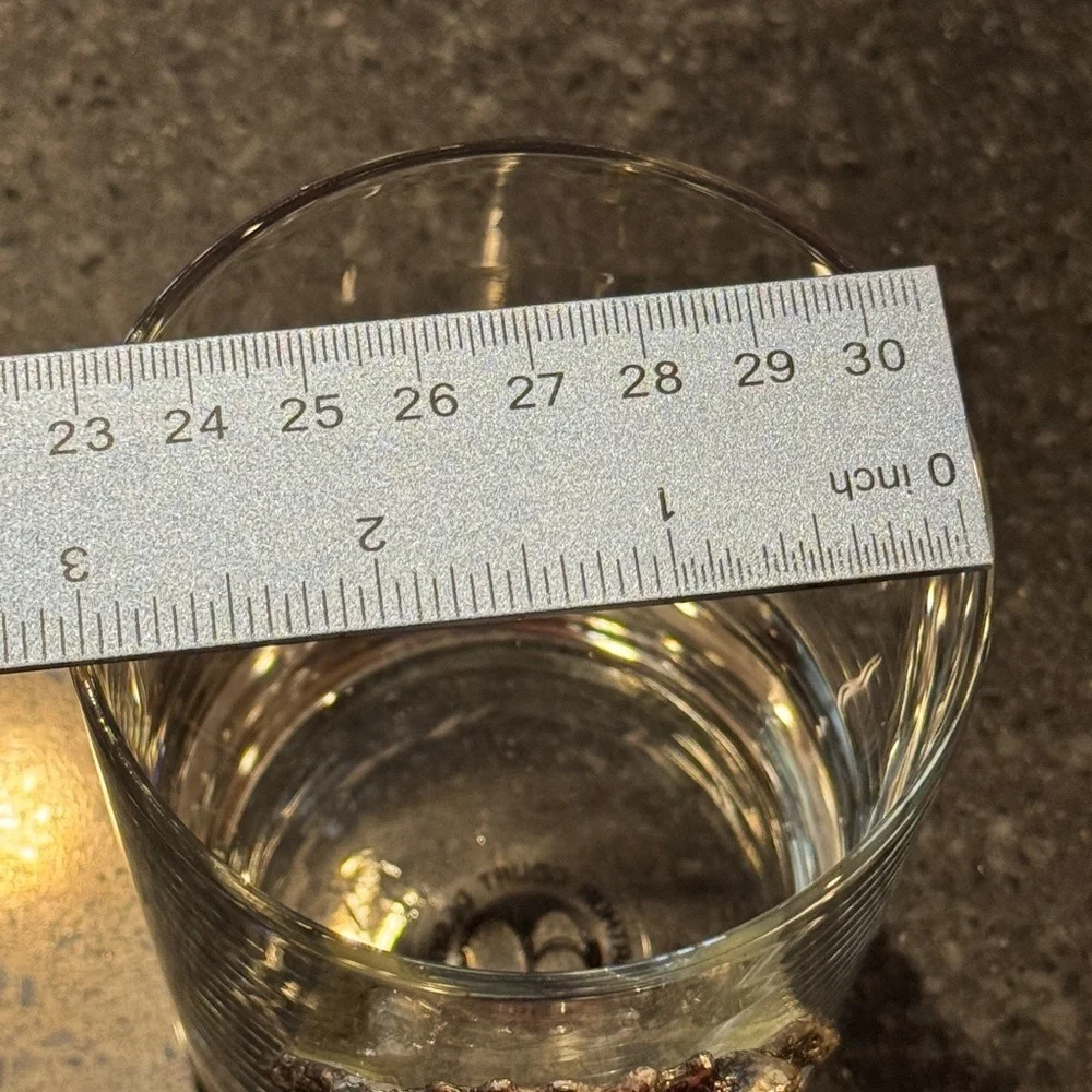 EUC Arthur Court Lion Head Safari Line Lowball Double Old Fashioned Glass